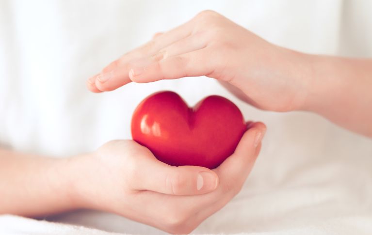 The image shows two hands protectively holding a red ceramic heart.